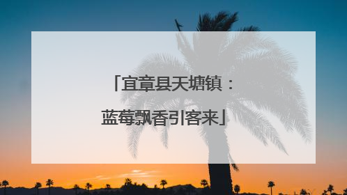 宜章县天塘镇：蓝莓飘香引客来